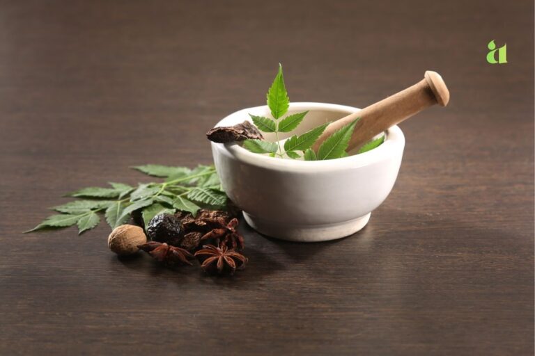 आयुर्वेद और समग्र उपचार — प्राकृतिक जीवनशैली और holistic healing – Aarohi Blog