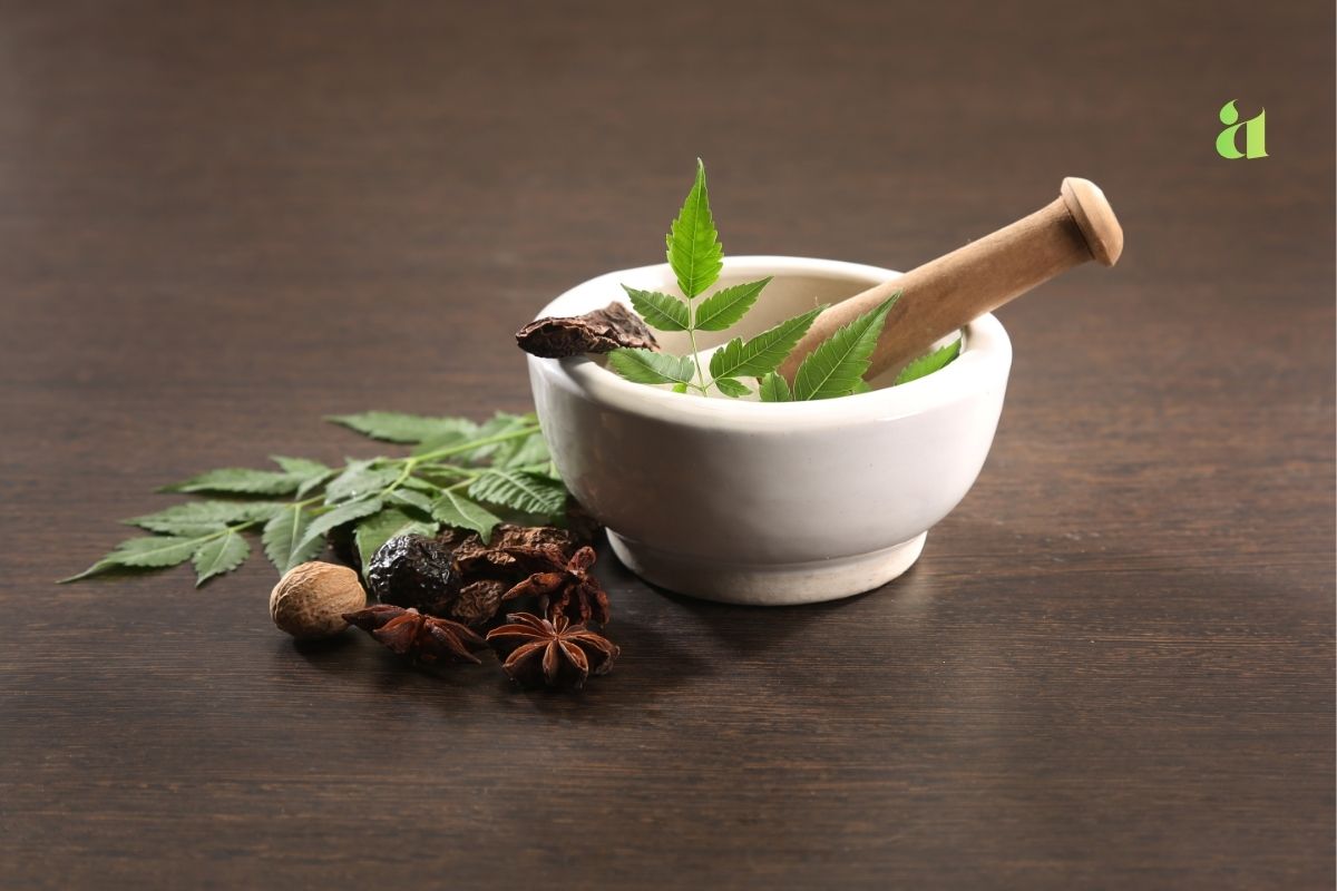 आयुर्वेद और समग्र उपचार — प्राकृतिक जीवनशैली की ओर एक कदम