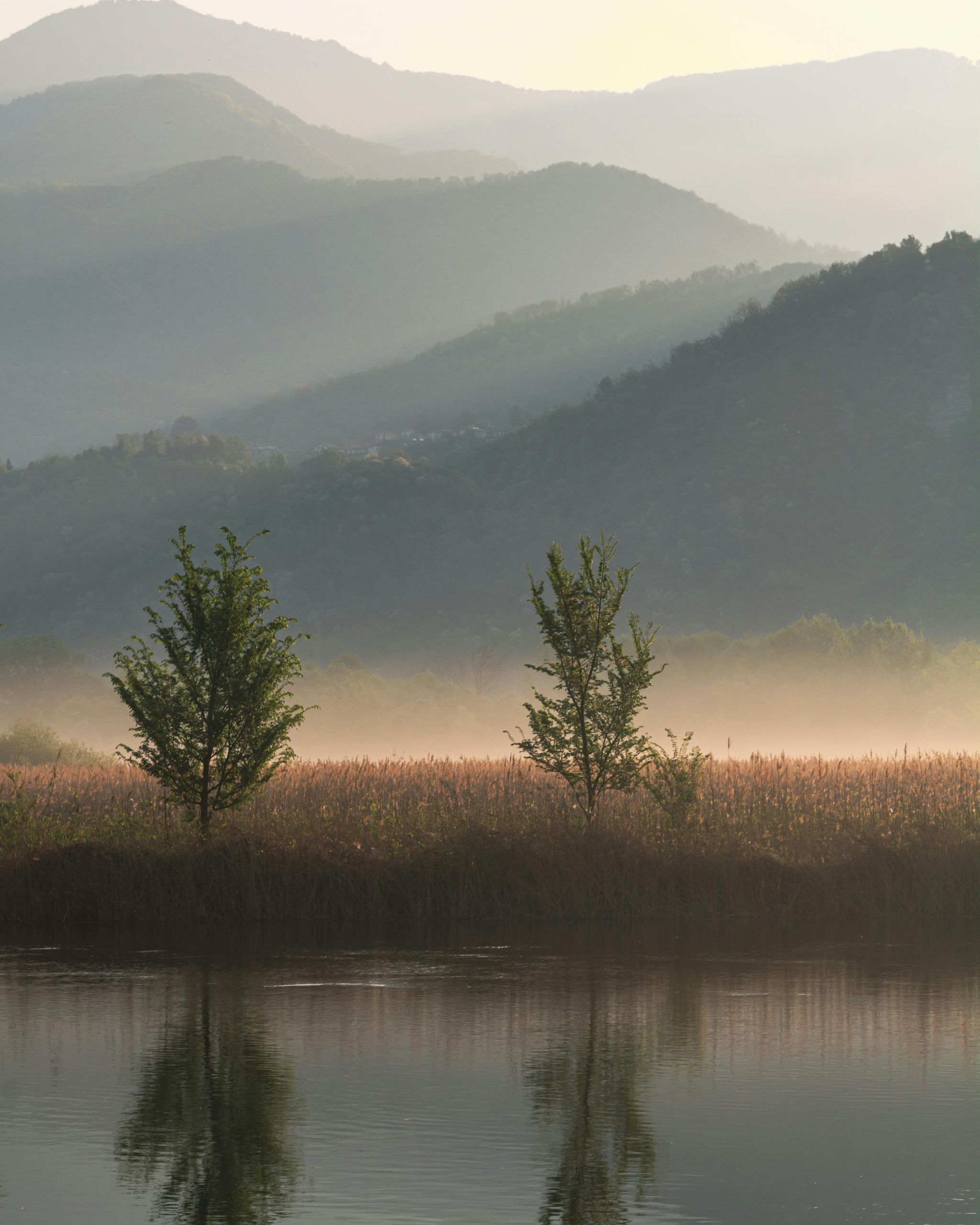 A distant horizon with soft mist and layered hills, creating a sense of space, distance, and calm
