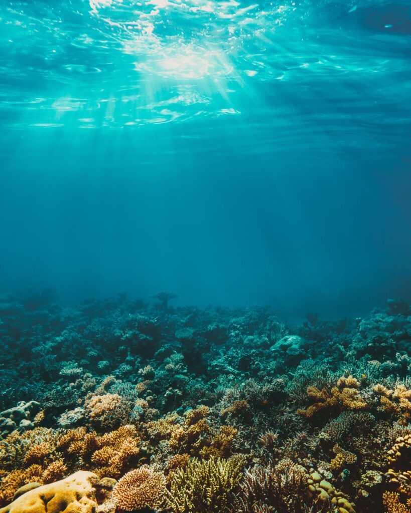 Sunlight filtering through clear water above a coral reef, creating a calm underwater scene.