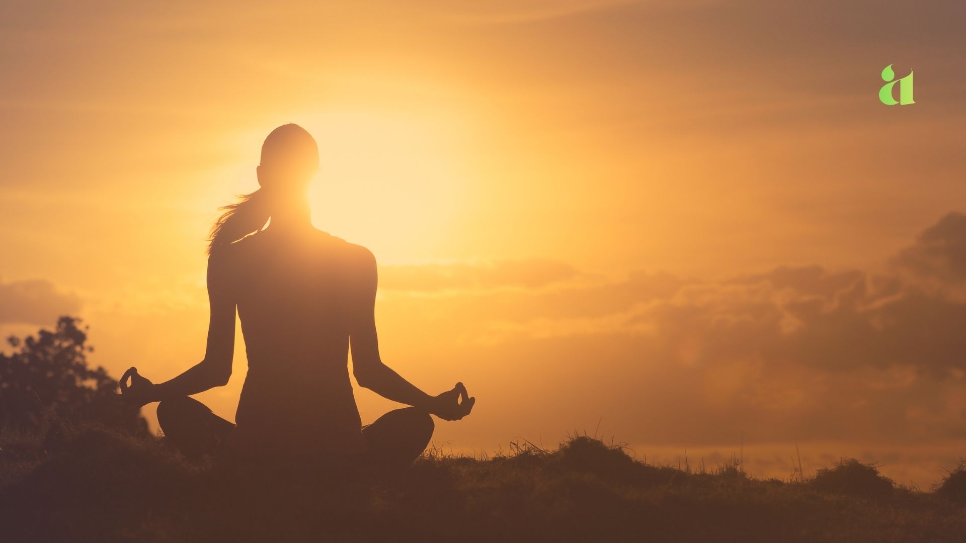 mindful living journey through ayurveda and body awareness