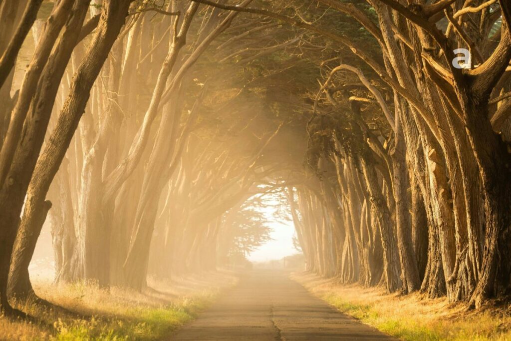 practical pathways for inner work and awareness