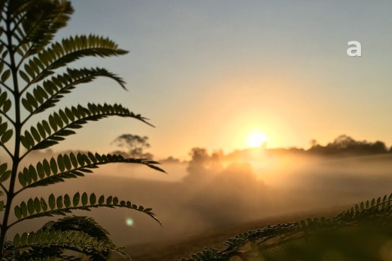 morning sunlight benefits calm energy natural healing morning routine