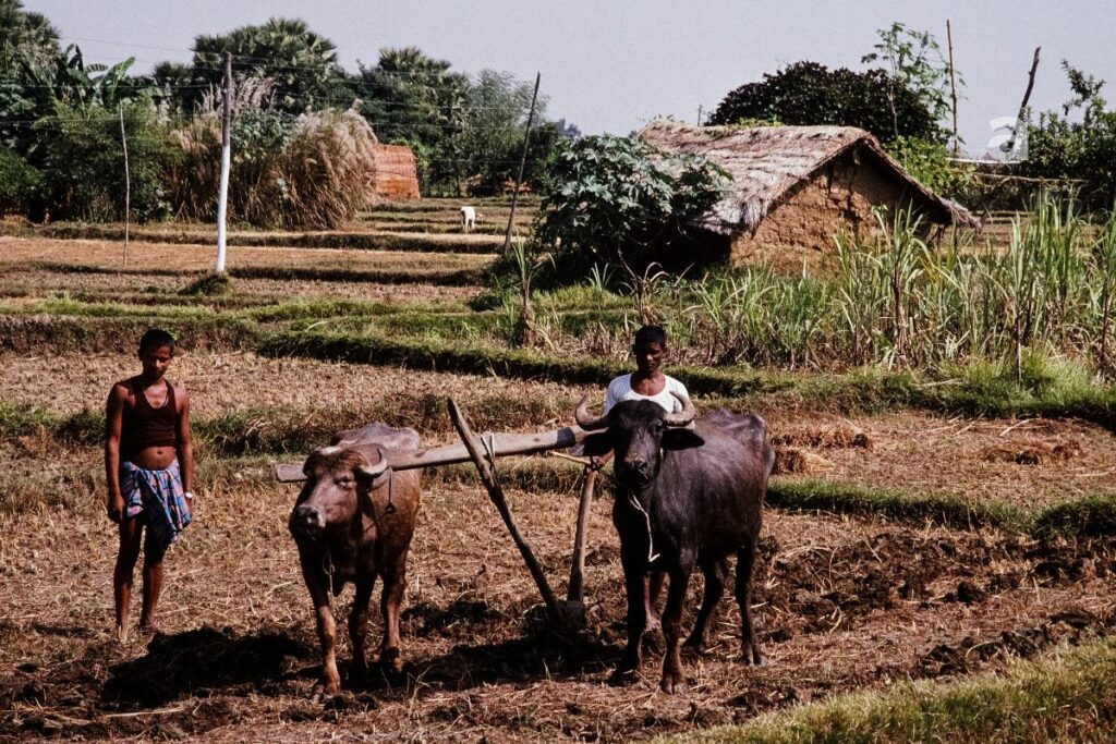 farmer waiting for monsoon rain in dry agricultural field with hope and patience