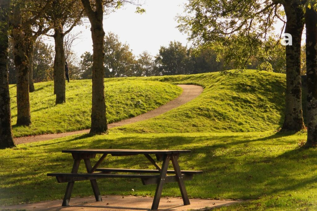 empty park bench symbolizing old friendships memories and the passage of time