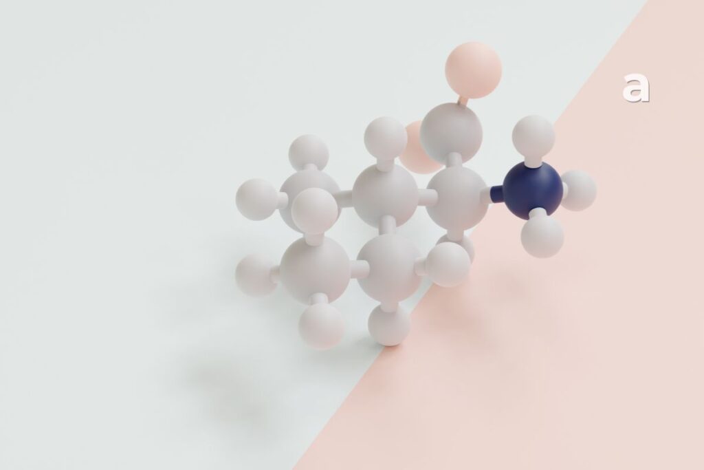 Illustration showing protein made up of amino acids, the building blocks used by the body.