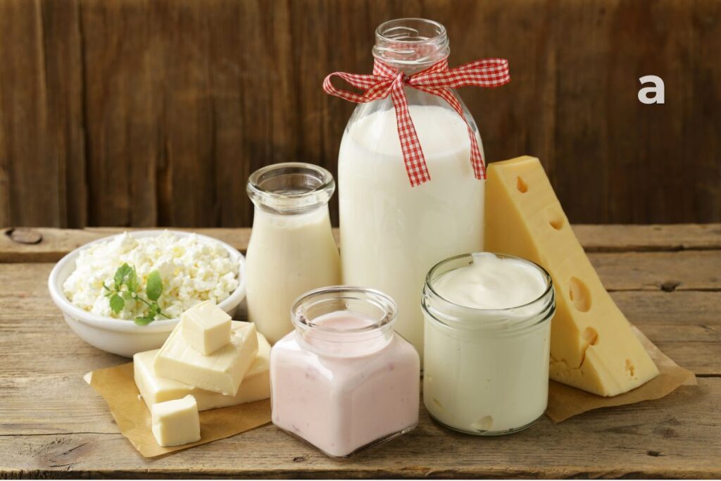Healthy daily meal plan featuring vitamin B12-rich foods including eggs, milk, yogurt, salmon, chicken, fortified cereal, and dairy products.