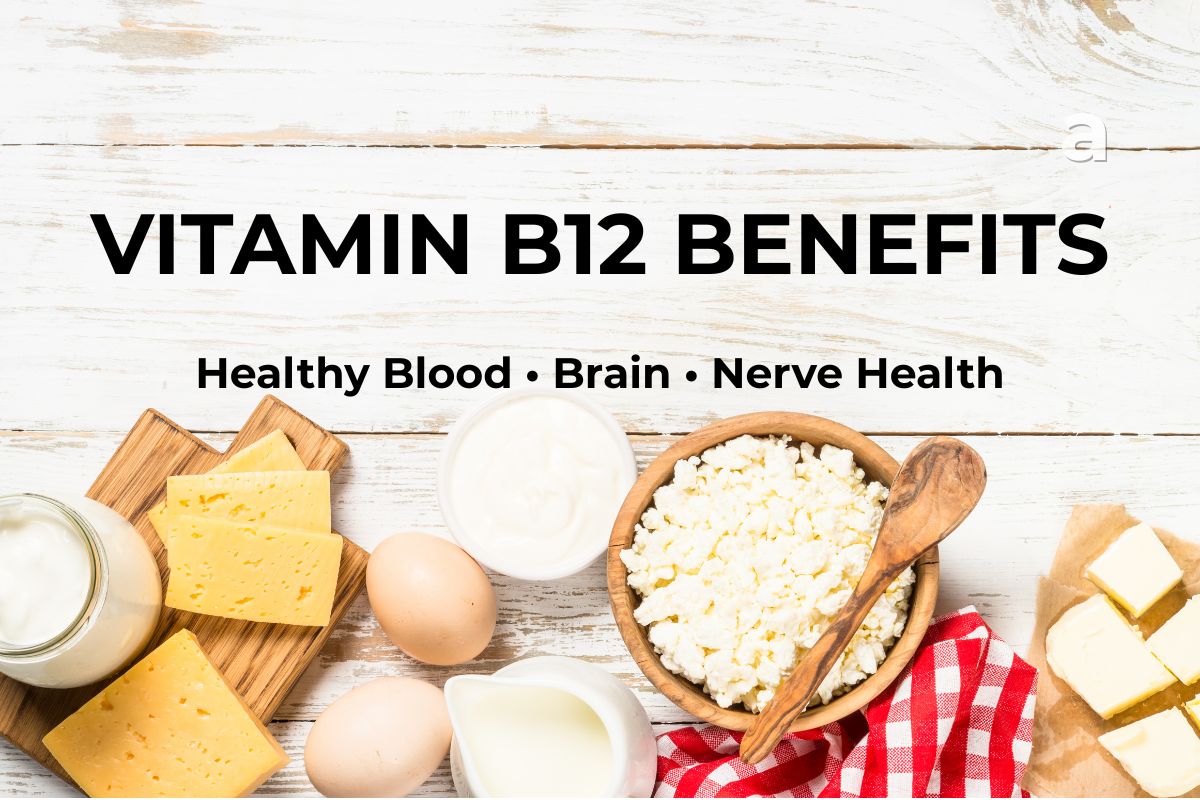 Vitamin B12-rich foods including salmon, eggs, milk, yogurt, cheese, beef, tuna, fortified cereal, and dairy products supporting healthy blood, brain, and nerve function.